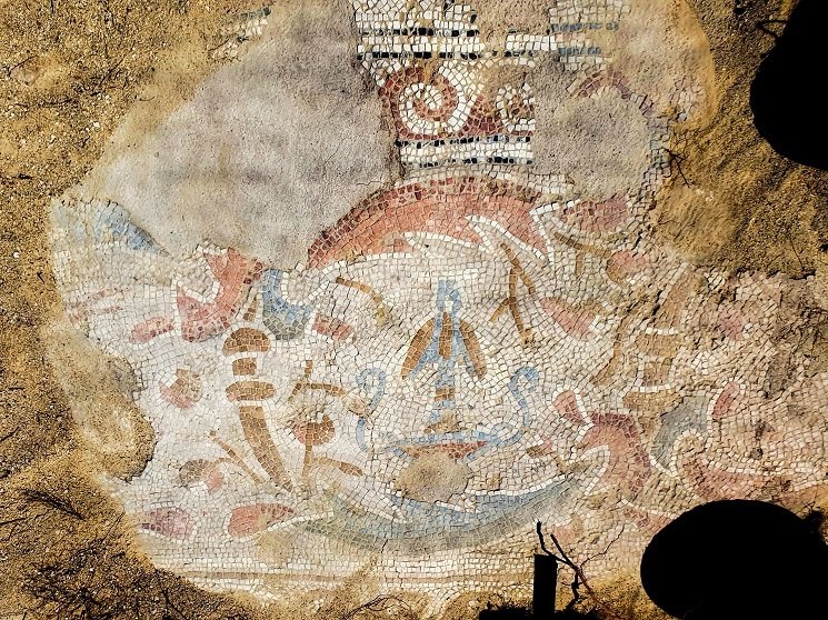 irerjjjeqrer (1).jpg